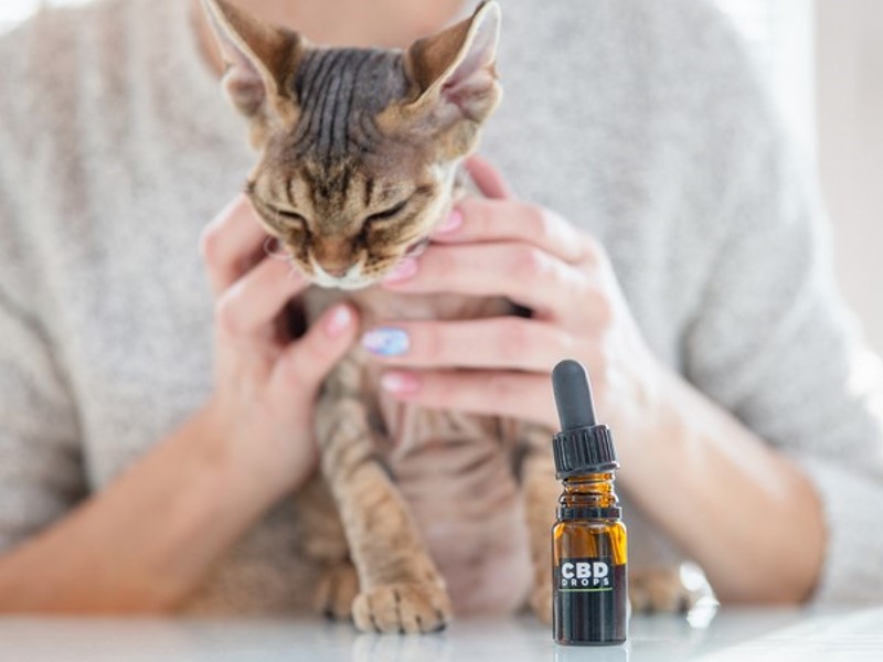 CBD kapi za životinje su široko prihvaćene