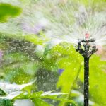 Sustavi za zalijevanje vrta kao temelj zdravog i uređenog zelenila