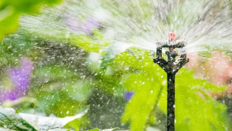 Sustavi za zalijevanje vrta kao temelj zdravog i uređenog zelenila